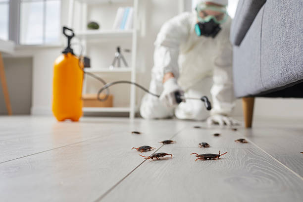 Commercial Kitchen Cockroach Control in Lyons
